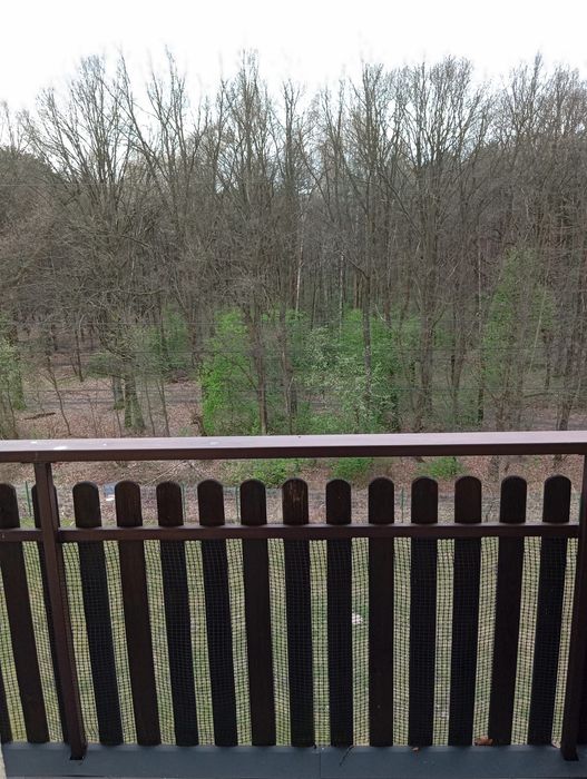 Wynajmę mieszkanie Tychy