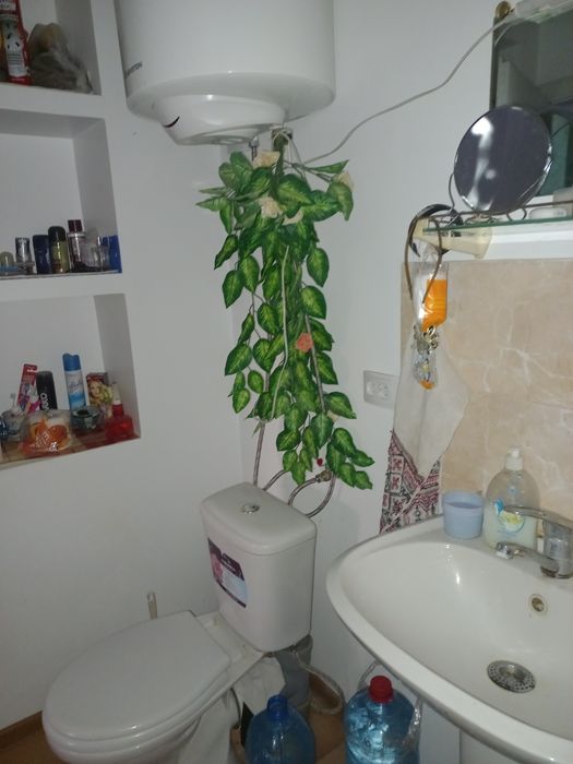 Будиночок коли лісу  та недалеко річка і св.джерело