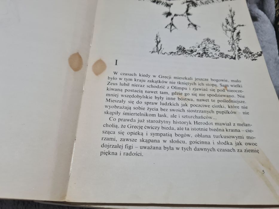 Petros pelikan - Roman Pisarski