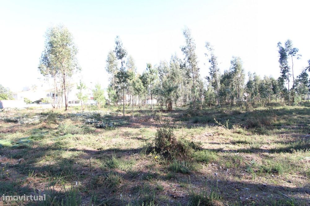 Terreno Urbanizável com 9.200 m2 em Alvarães, Viana do Castelo !