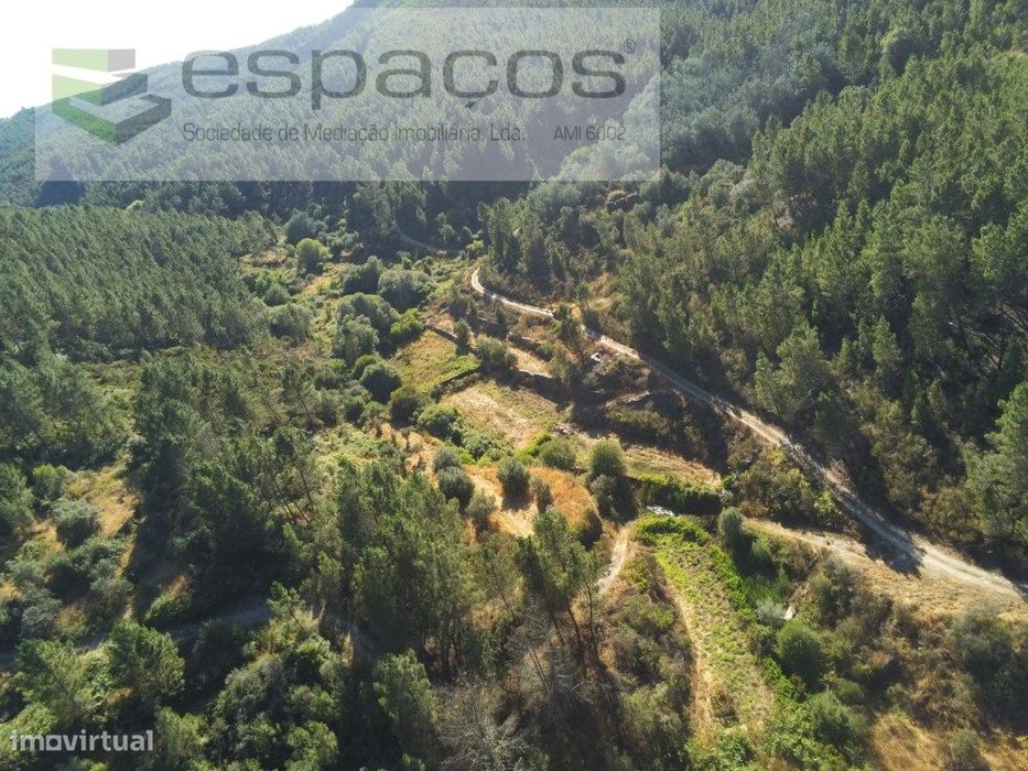 Terreno Agrícola