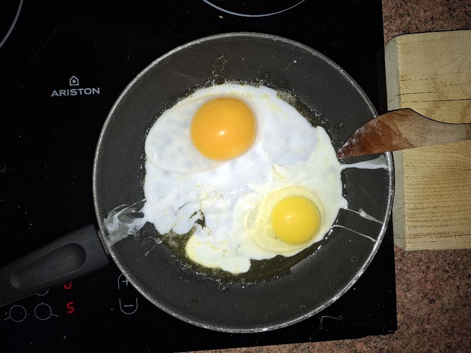 konsumpcyjne  jajka gesie