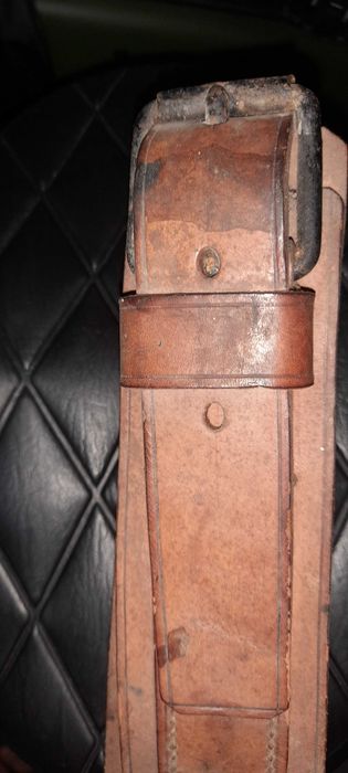 Coleira para equídeos