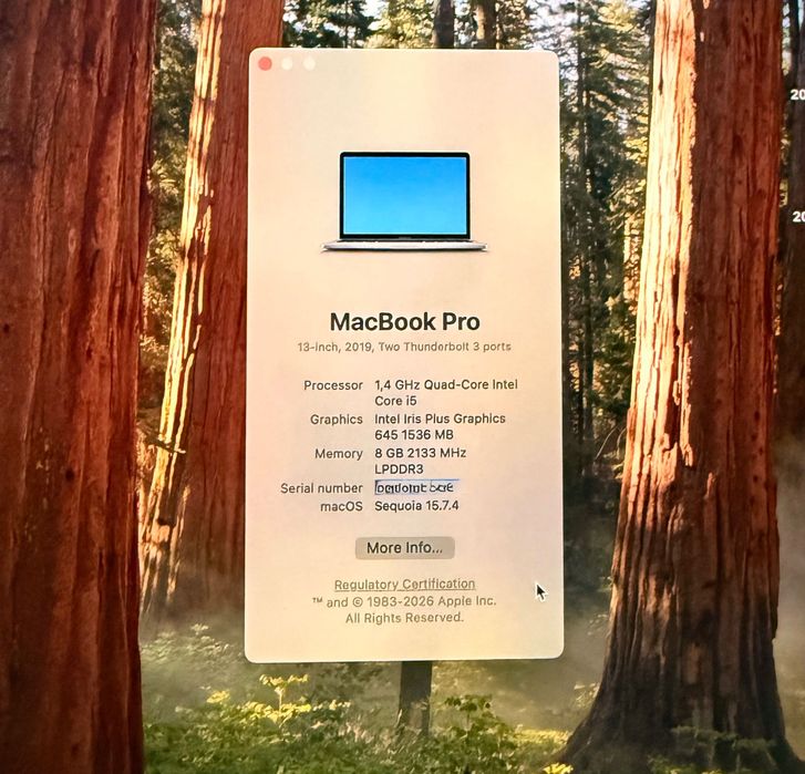 MacBook Pro 13” 2019 | Intel Core i5 | 8GB RAM | SSD 128GB | Touch ID | macOS Sequoia