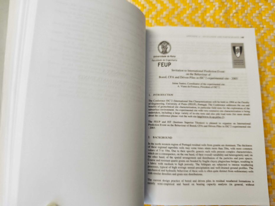 Behaviour of Bored CFA And Driven Piles in Residual Soil