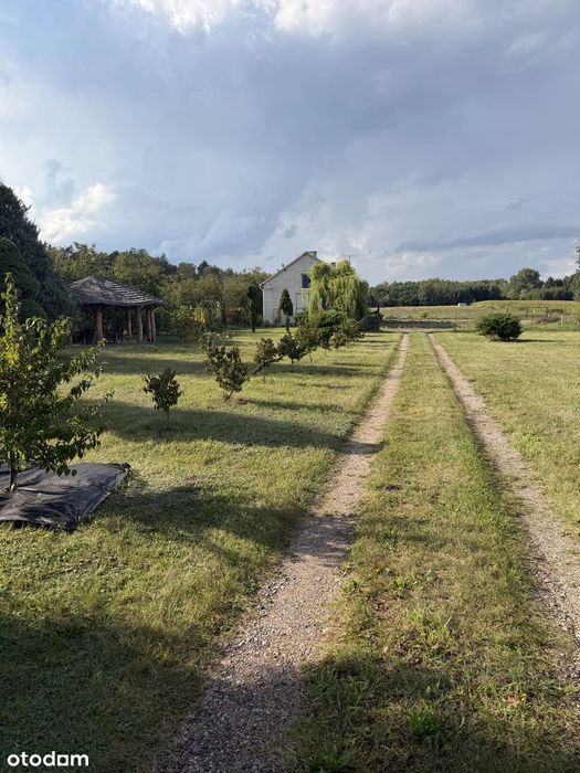 Sprzedam Działkę - 13 441 m² – Nowe Koziminy, gmina Płońsk