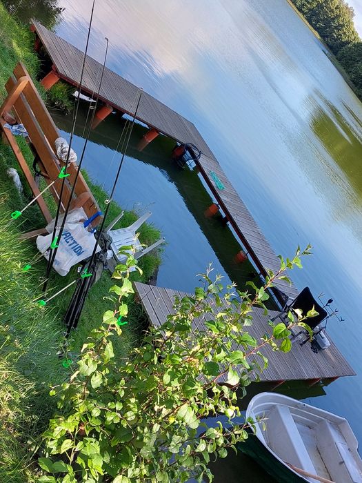 Zielony domek nad jeziorem