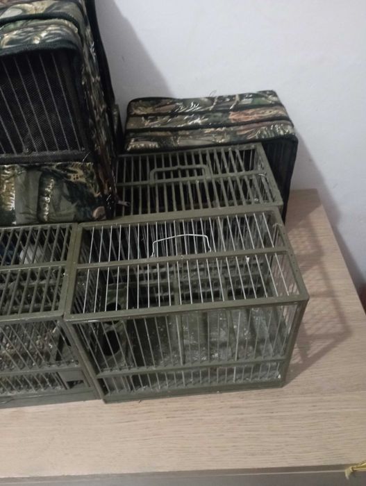 gaioolas usadas em bom estado