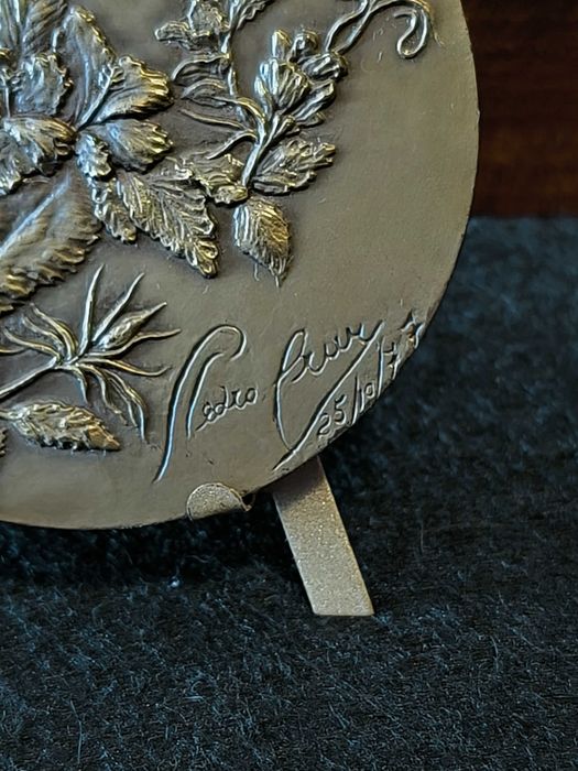 Medalha em Bronze alusiva ao centenário da morte do pintor Pedro Cruz 1888 / 1988