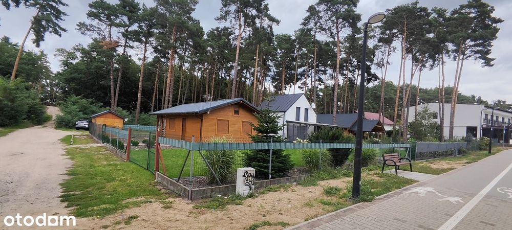 Zdjęcie 8