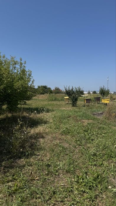 Продаж будинку с. Великі Лучки