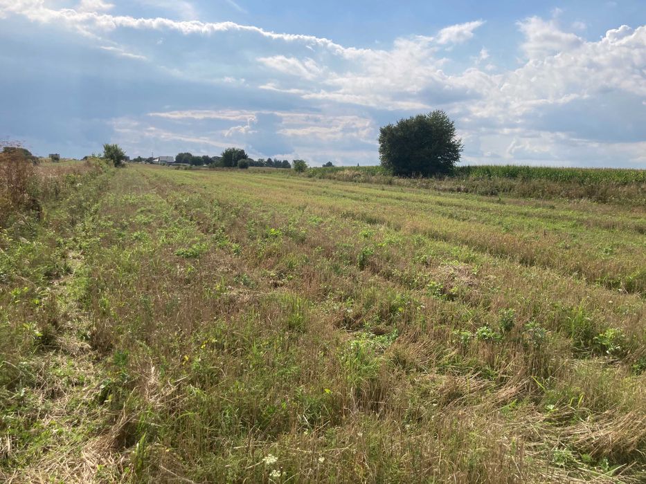 Działka budowlana Kraśnik 7 arów 90 000 zł
