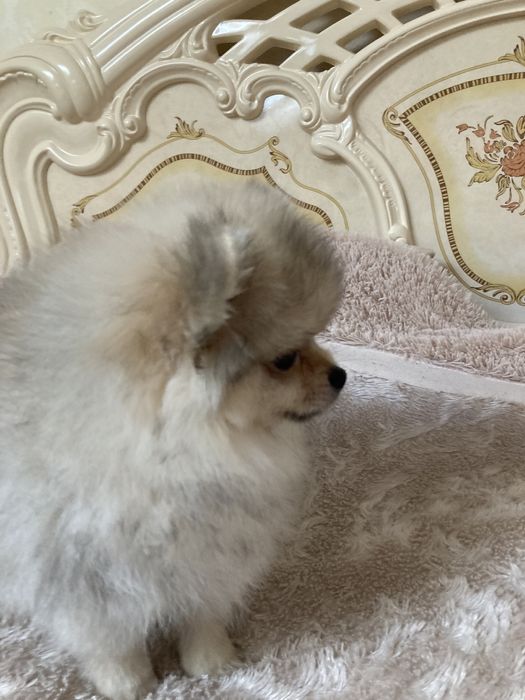 Супер мальчик пом