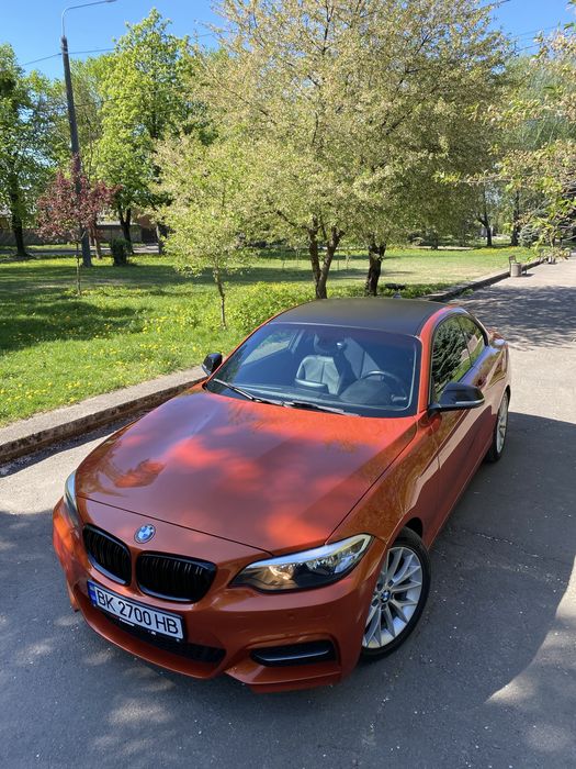 BMW 2 Series 2014 VIN WBA1F5C52EVV99689 фото оголошення 8 з 13