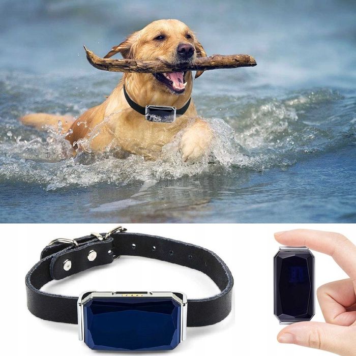 Lokalizator GPS dla psa kota zwierząt aplikacja serwer obroża