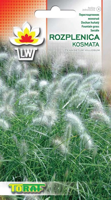 Trawy nasiona zestaw 4 odmian  za 19,56 zł