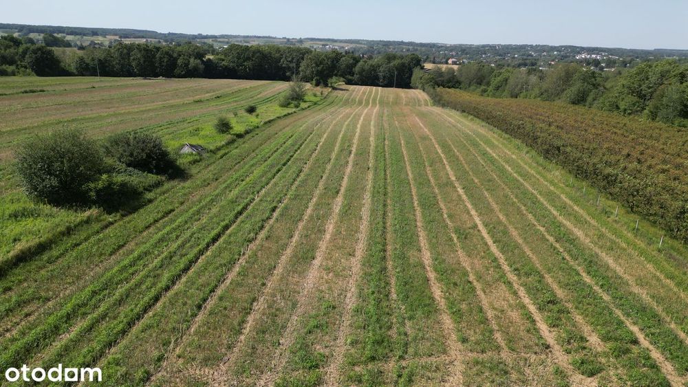 Atrakcyjna działka budowlana – 12 ar w Kraśniku (Kwiatkowice)