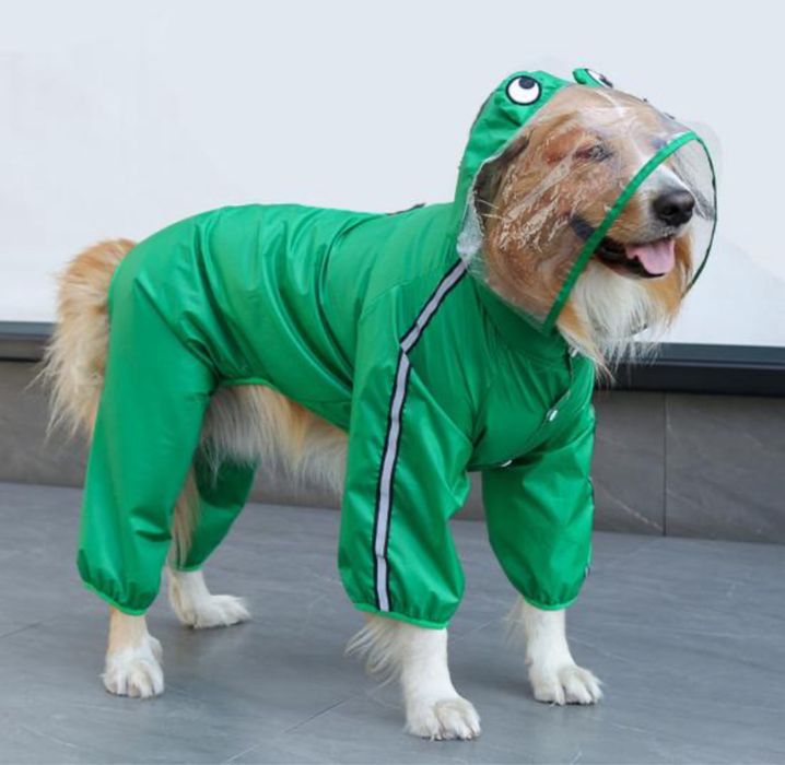 Дощовик для собаки більшої породи жабка