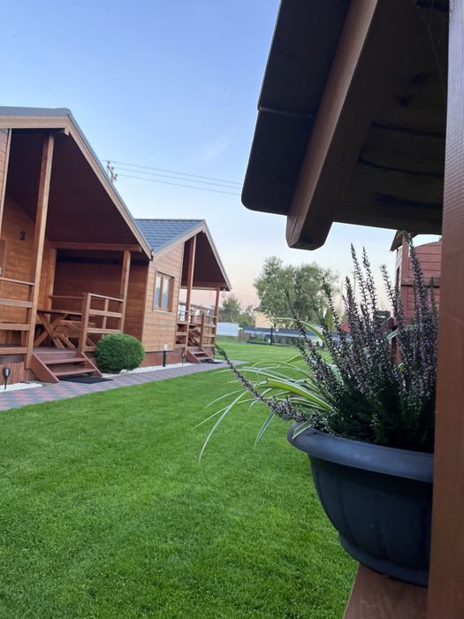 Domki letniskowe Koral