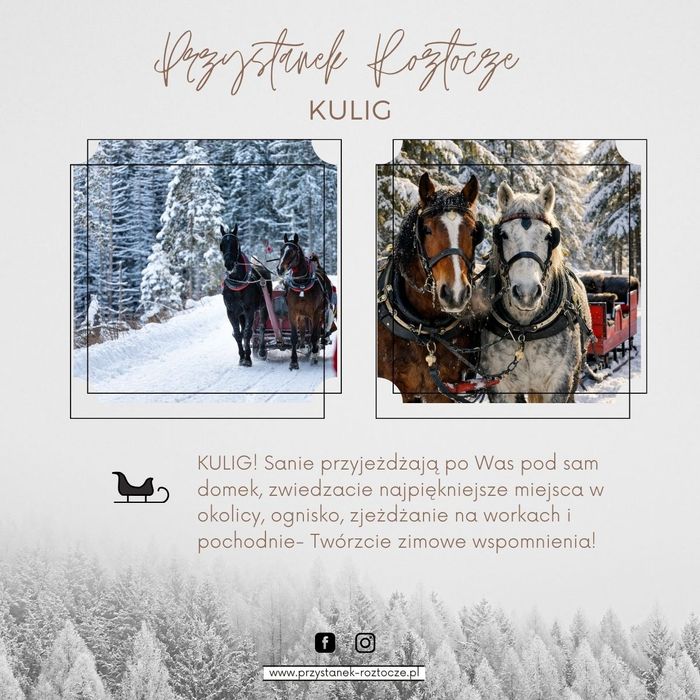 Przystanek Roztocze- domki,ferie, kulig, jacuzzi, las i slowlife