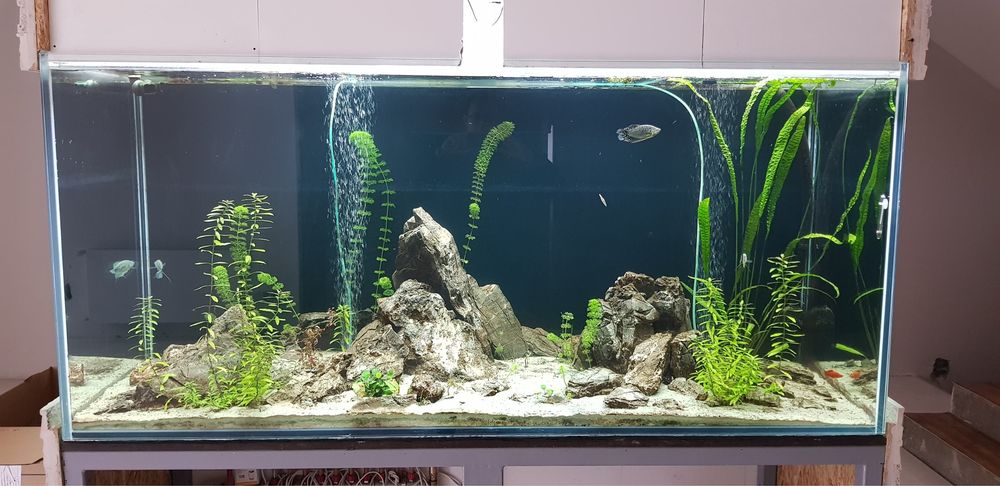 Akwarium  1000 litrow  piekne, akwaria
