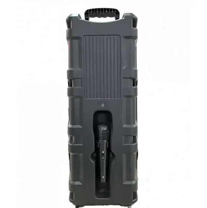 Мощная блютуз колонка с микрофоном TTD-2806 караоке RGB подсветка 20Вт