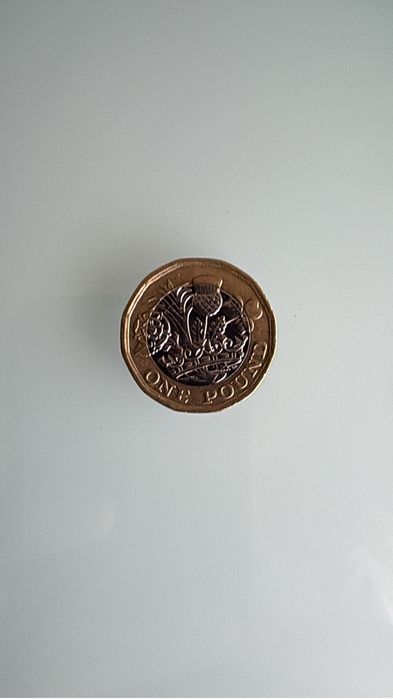 Moeda 1 pound rainha elisabeth 2016