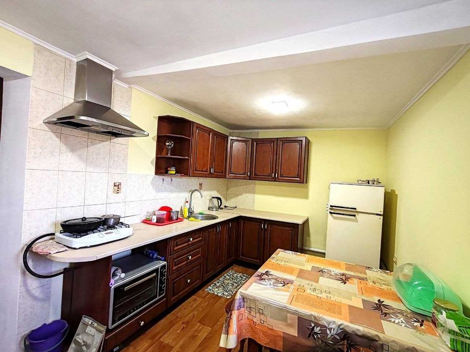 Продам дом Каменское , Елизаветовка.