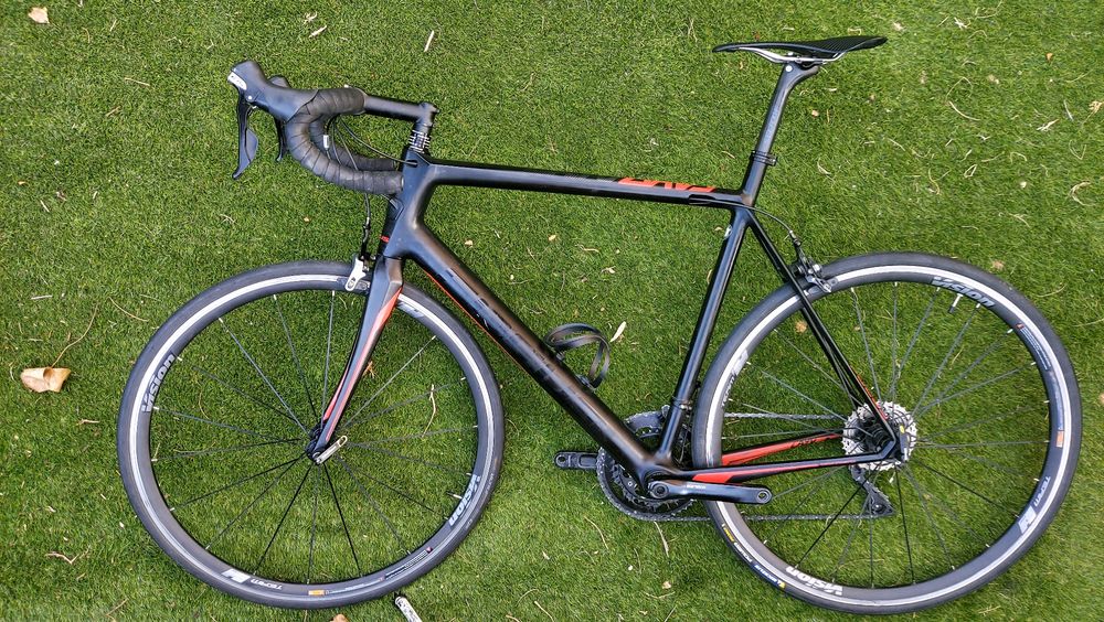 Focus Cayo Carbon t56