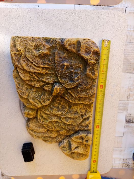 Wyspa pływająca dla żółwia Exo Terra średnia