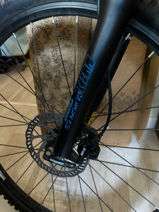 Bicicleta BTT Berg Trailrock 2.4 LTD
