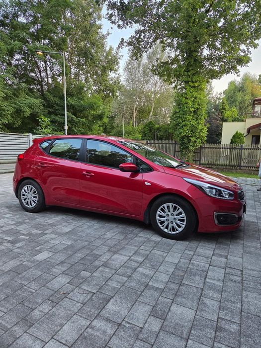 Kia Ceed KIA CEED 1,6 Bezwypadkowy Salon Polska, 31tyś km