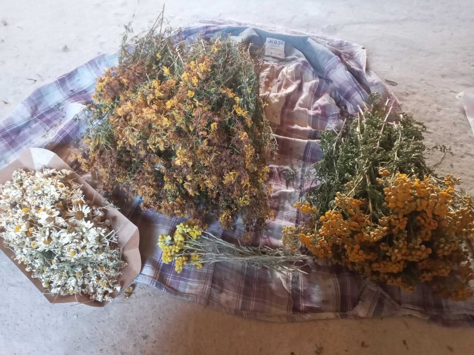 Мікс трав 2025 лікувальні