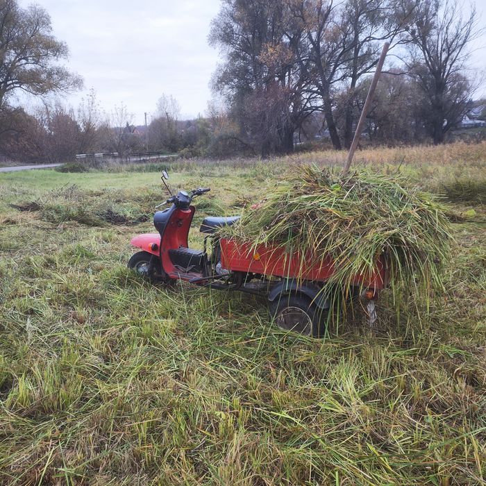 Продам мотороллер муравей