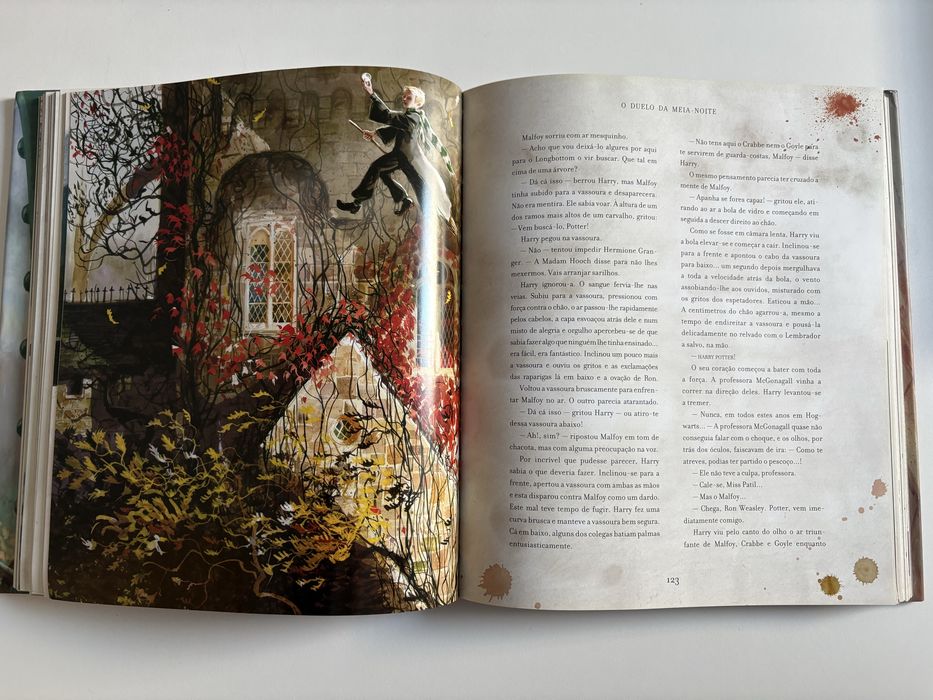 Harry Potter ilustrado por Jim Kay