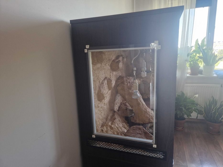 Duże terrarium pustynne 140 × 55 × 80 cm – ścianka 3D, gotowe do aranżacji