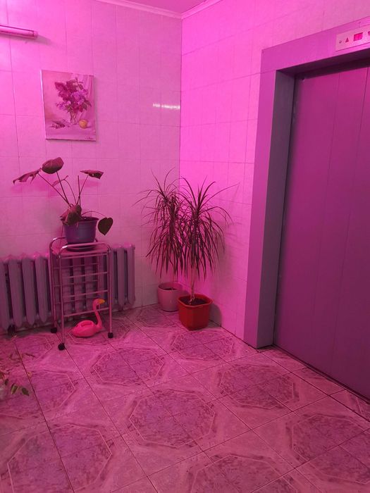 Милославская Троещина Деснянский Бальзака  Будыщанская Калины