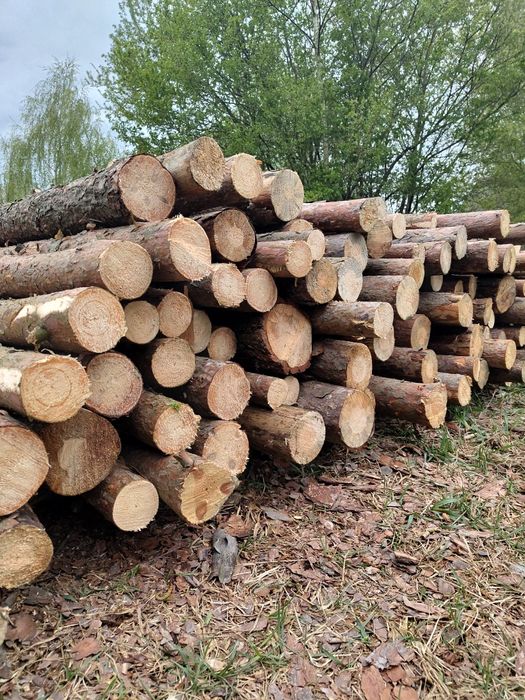 Ogród,Słupki,Słupy,Ogrodzenie