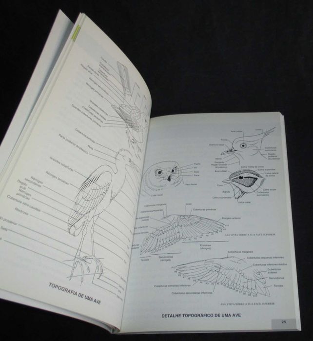 Livro Guia de Campo das Aves Duarte B. Câmara