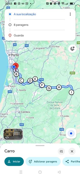 Entrega de coelhos anões em Viseu