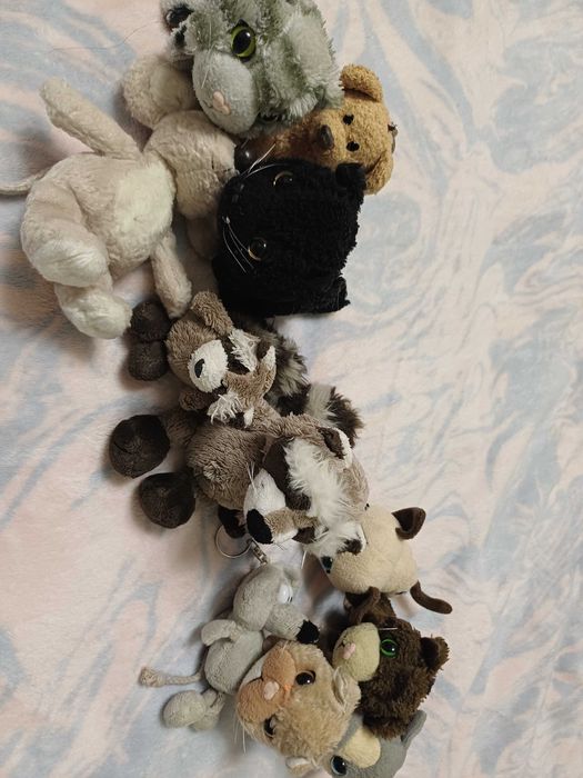 М'яеі Кошенята з журналу 100грн