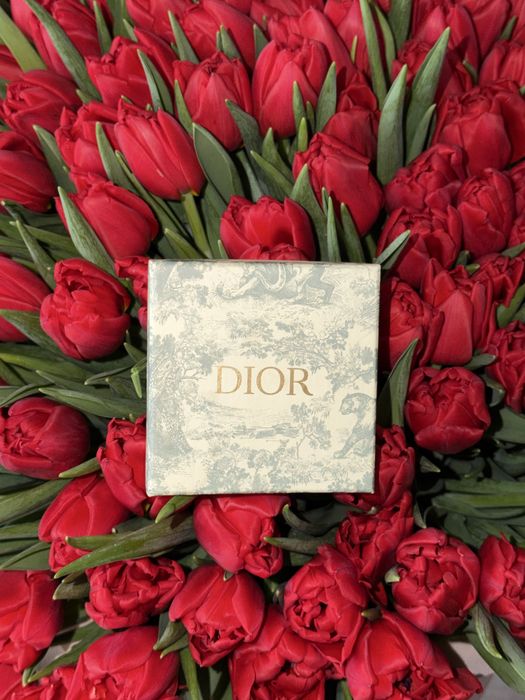Серьги DIOR диор