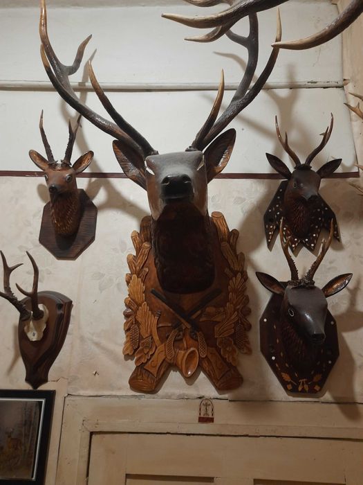 Трофейна колекція