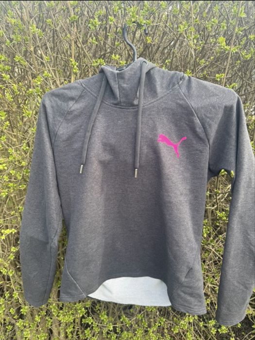 Oryginalna bluza Puma