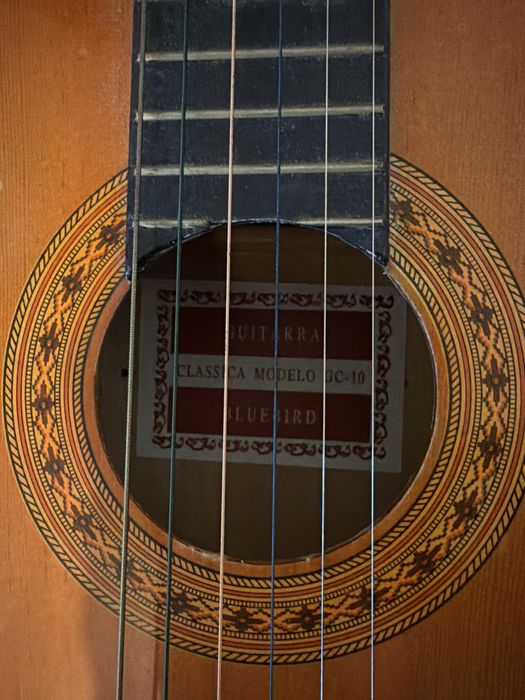 Guitarra para iniciantes bluebird GC-10