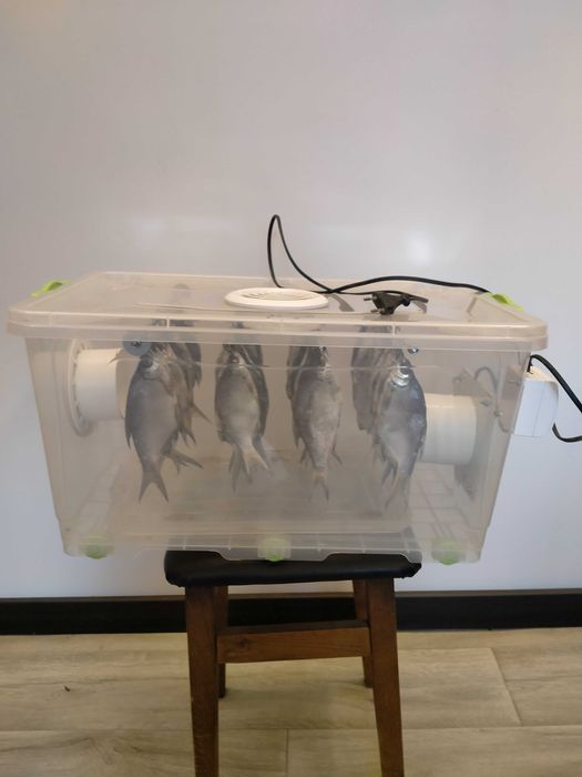 Сушилка для рыбы мобильная