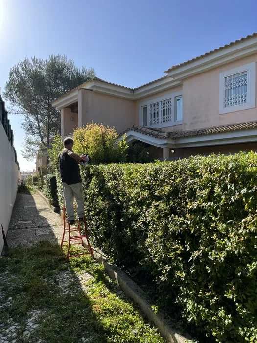 Manutenção Jardins (Jardineiro)