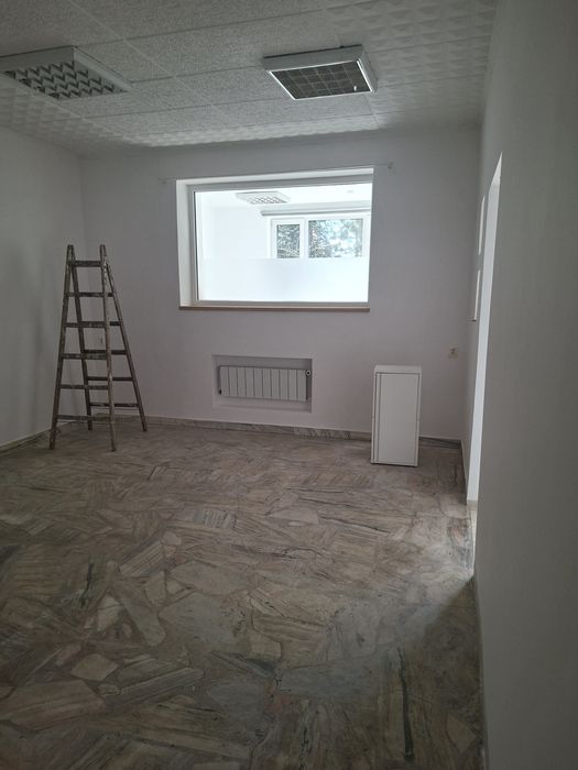 Lokal do wynajęcia
