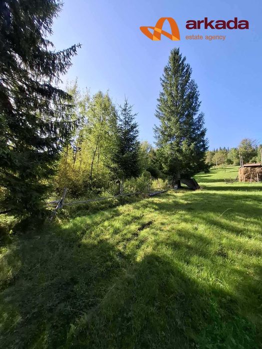 Продаю Земельну Ділянку в Микуличині