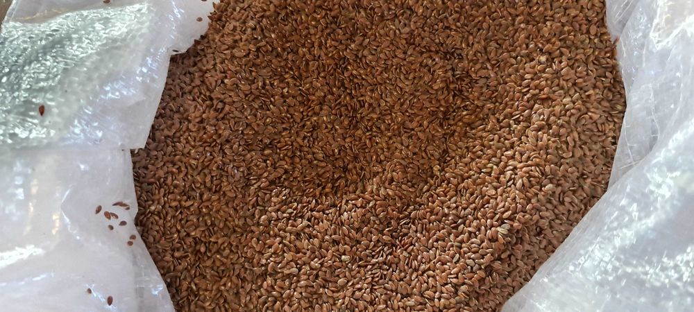Siemię Lniane Brązowe Len czyszczony (czystość 99,8%)